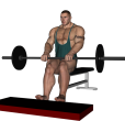 Calf Raise - Seated Barbell